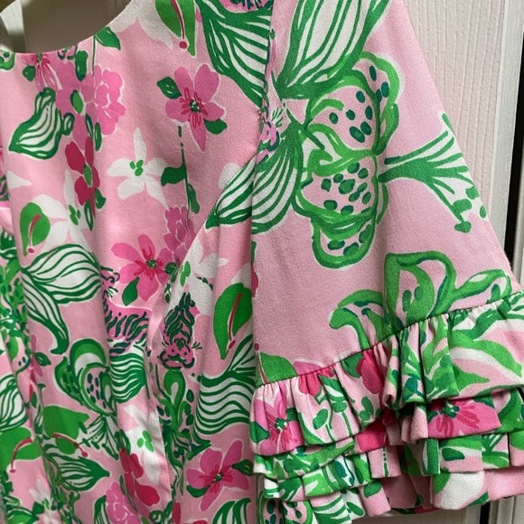 Lilly Pulitzer dress - Picture 2 of 4